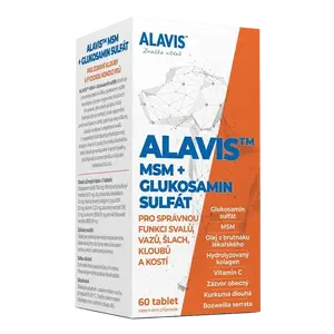 ALAVIS MSM+Glukosamin sulfát 60 tablet