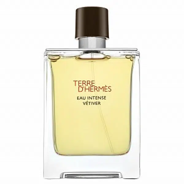 Hermes Terre D'Hermes Eau Intense Vetiver parfémovaná voda pre mužov 100 ml