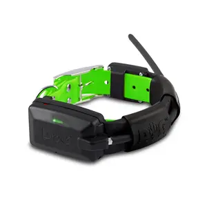 Obojek pro dalšího psa DOG GPS X25 - green | P54366