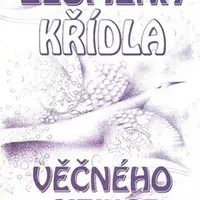 Zlomená křídla věčného cizince - Nidal Saleh