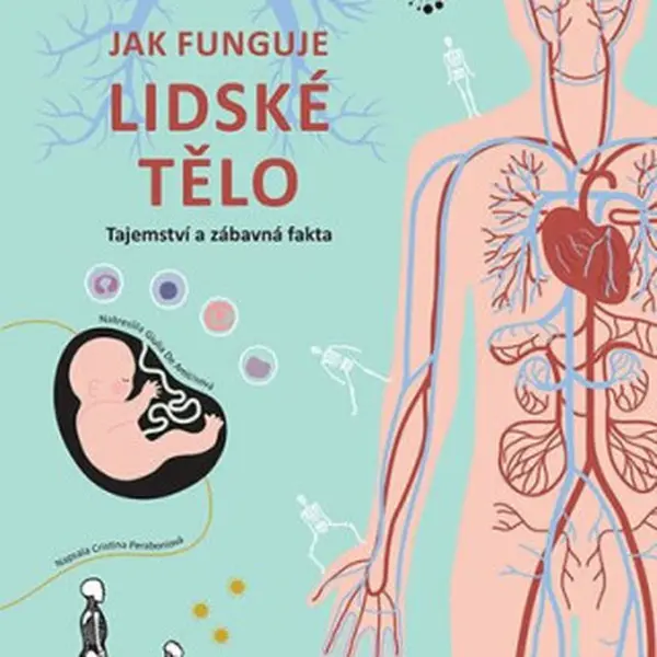 Jak funguje lidské tělo - Tajemství a zábavná fakta - Cristina Peraboniová, Giulia De Amicisová
