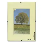 Obrazový rám BFHM s euroclipy - 50 x 70 cm, plexi
