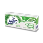 Papírové kapesníky Linteo - 2vrstvé, 10 × 10 ks