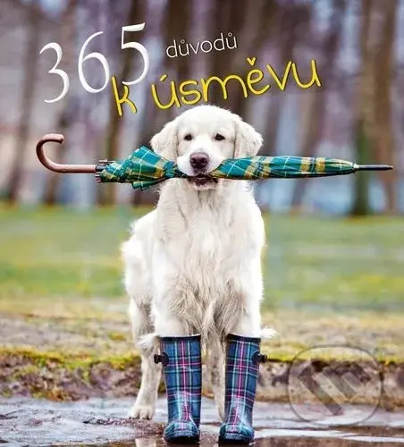365 důvodů k úsměvu - Valeria Manferto De Fabianis (editor)