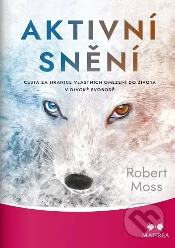 Aktivní snění (Cesta za hranice vlastních omezení do života v divoké svobodě) - kniha z kategorie Ezoterika