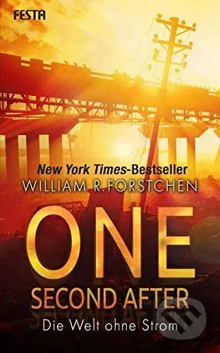 One Second After (Die Welt ohne Strom) - William R. Forstchen - kniha z kategorie Thrillery