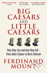 Big Caesars and Little Caesars (How They Rise and How They Fall - From Julius Caesar to Boris Johnson) - kniha z kategorie Politologie a politika