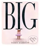 Big - Vashti Harrison, Vashti Harrison (Ilustrátor) - kniha z kategorie Pohádky