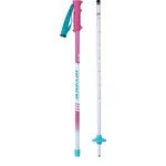 Arcore JSP 3.1 Juniorské sjezdové hole, bílá, velikost