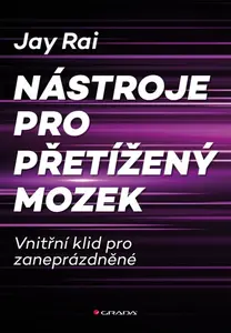 Nástroje pro přetížený mozek - Jay Rai