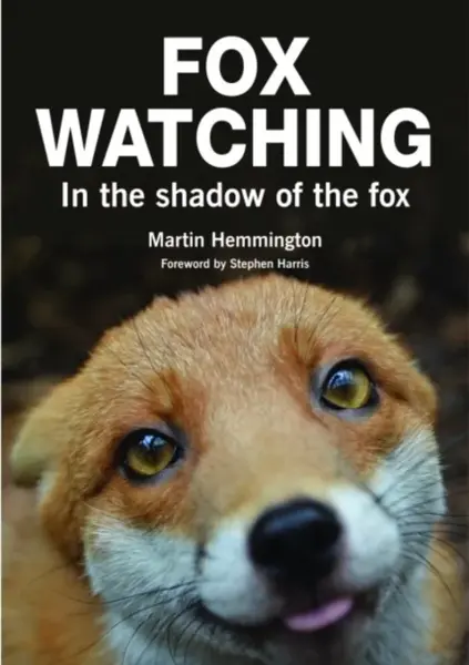 Fox Watching - Martin Hemmington