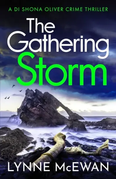 The Gathering Storm - Lynne McEwan
