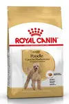 Royal Canin breed pudl  1,5kg