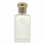 Versace Dreamer toaletná voda pre mužov 100 ml