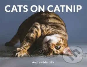 Cats on Catnip - Andrew Marttila - kniha z kategorie Zdraví a životní styl
