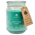 ARÔME Vonná svíčka Eucalyptus & mint 510 g