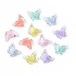 Transparent Acrylic Beads