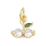 Brass Micro Pave Cubic Zirconia Charms