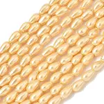 Electroplated Shell Pearl Beads Strands