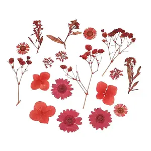 3D Dried Flowers Nail Art Decorations