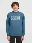 O'NEILL Mikina  modrosivá / biela