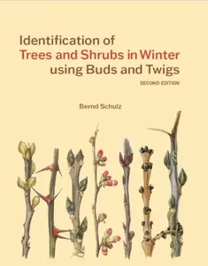 Identification of Trees and Shrubs in Winter using Buds and Twigs - Bernd Schulz