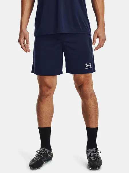 Pánske kraťasy Under Armour