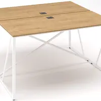 LENZA Psací stůl ProX dvoumístný 138x163x74,3