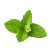 Vůně do svíček 10ml – 09 Máta