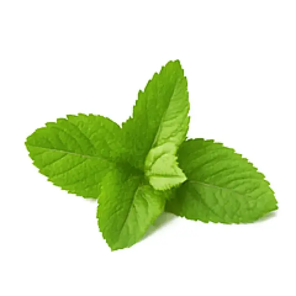 Vůně do svíček 10ml – 09 Máta