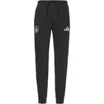 ADIDAS PERFORMANCE Športové nohavice 'DFB DNA'  čierna