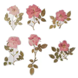 6Pcs Plant PET Adhesive Waterproof Stickers