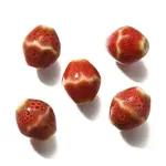 Handmade Porcelain Beads