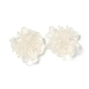 Transparent Resin Cabochons