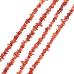 Natural Freshwater Shell Beads Strands