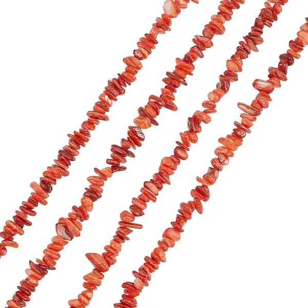 Natural Freshwater Shell Beads Strands