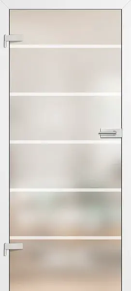 Celoskleněné dveře GRAF 17