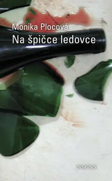 Na špičce ledovce - Monika Plocová
