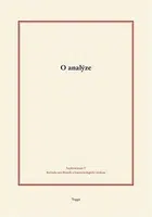 O analýze - Tomáš Holeček