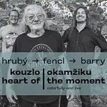 Jan Hrubý, Ondřej Fencl, Sean Barry – Kouzlo okamžiku CD