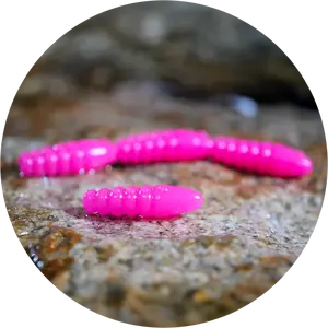 Redbass gumová nástraha trout grub signal pink uv color - 3x33 mm