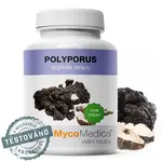 MycoMedica Polyporus 90 kapslí