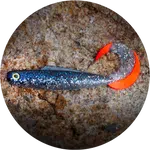 Redbass gumová nástraha twister kixter super natur rt uv - xxl 200 mm 50,7 g