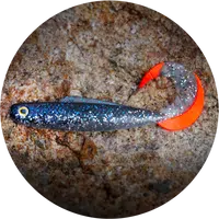 Redbass gumová nástraha twister kixter super natur rt uv - xxl 200 mm 50,7 g