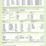 Česká gramatika v kostce - ARABSKÁ (Defekt) - Lída Holá, Pavla Bořilová