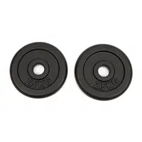 Worqout Závaží 2.5Kg Iron Weight Plates x 2 pc - unisex