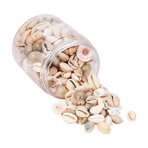 Natural Trumpet Shell Beads