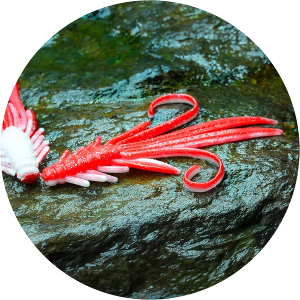 Redbass gumová nástraha nymfa red/white - xxl 20 cm 33 g