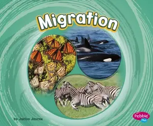 Migration - Jaclyn Jaycox