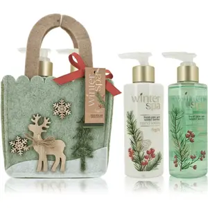 Accentra Winter Spa Hand Care Set dárková sada na ruce 1 ks